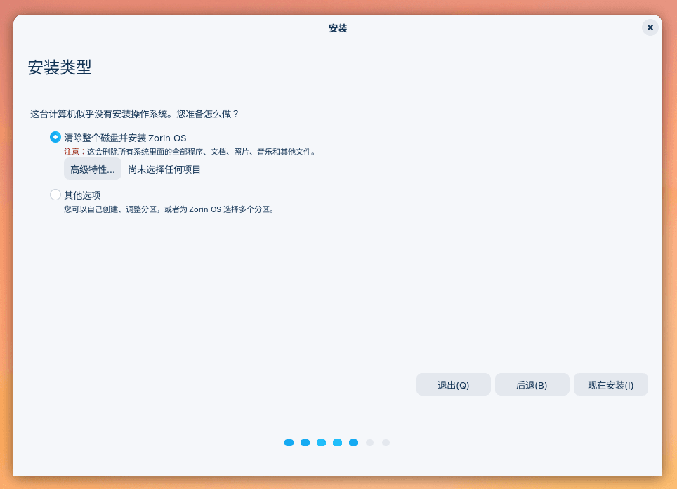 Zorin OS 磁盘分区。