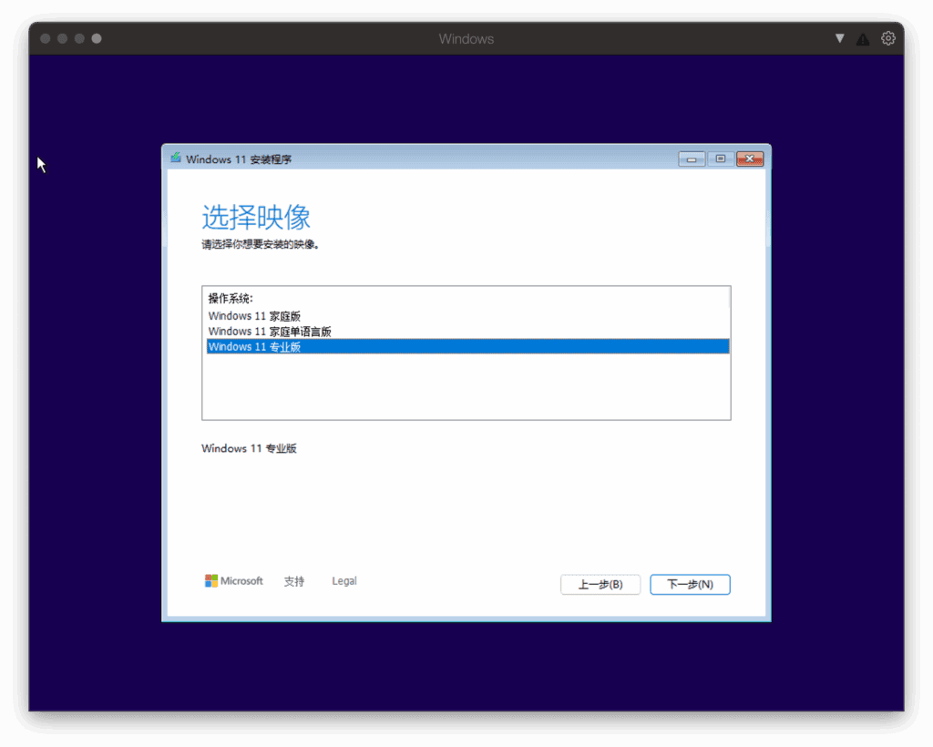 选择 Windows 11 专业版进行安装