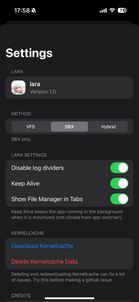 lara 设置界面。