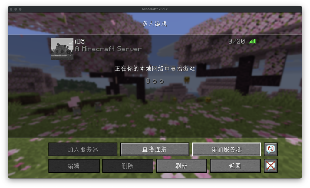 在 Minecraft 中连接到位于 JESSI 上的服务器。